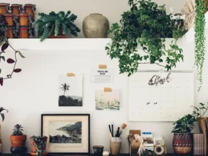 The Do Book Co Design Und Interieur^Do Inhabit: Style your space for a creative and considered life