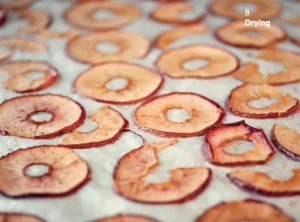 The Do Book Co Speisen^Do Preserve: Make your own jams, chutneys, pickles and cordials