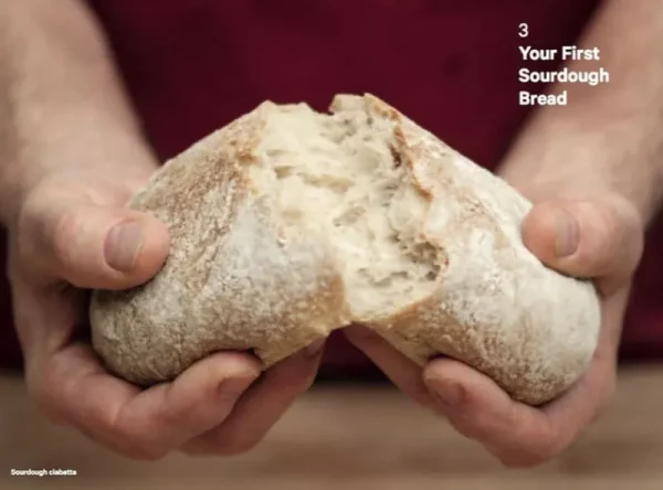The Do Book Co Speisen^Do Sourdough: Slow bread for busy lives
