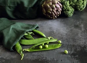 The Organic Company Auf Reisen^Food Bag, dunkelgrün