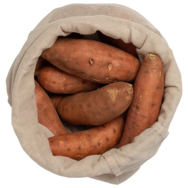 The Organic Company Auf Reisen^Food Bag, Steingrau