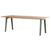 TIPTOE Tische-New Modern Tisch, 220 x 95 cm, Eiche - Eukalyptusgrau