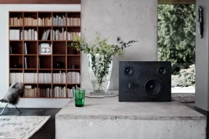 Transparent Unterhaltungselektronik^Steel Speaker