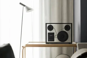 Transparent Unterhaltungselektronik^Speaker, schwarz