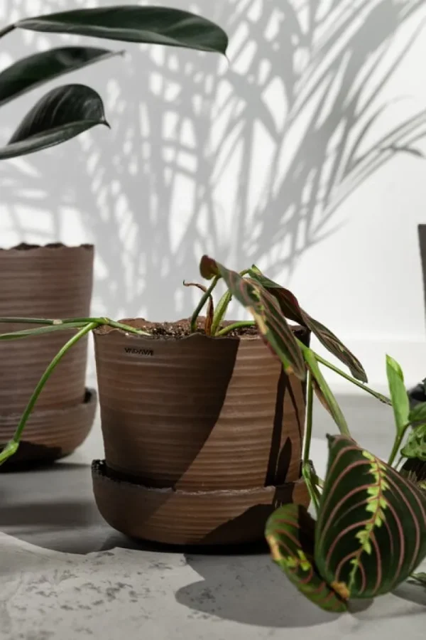 Vaidava Ceramics Indoor-gardening^Soil Topf mit Untersetzer, XL, Braun