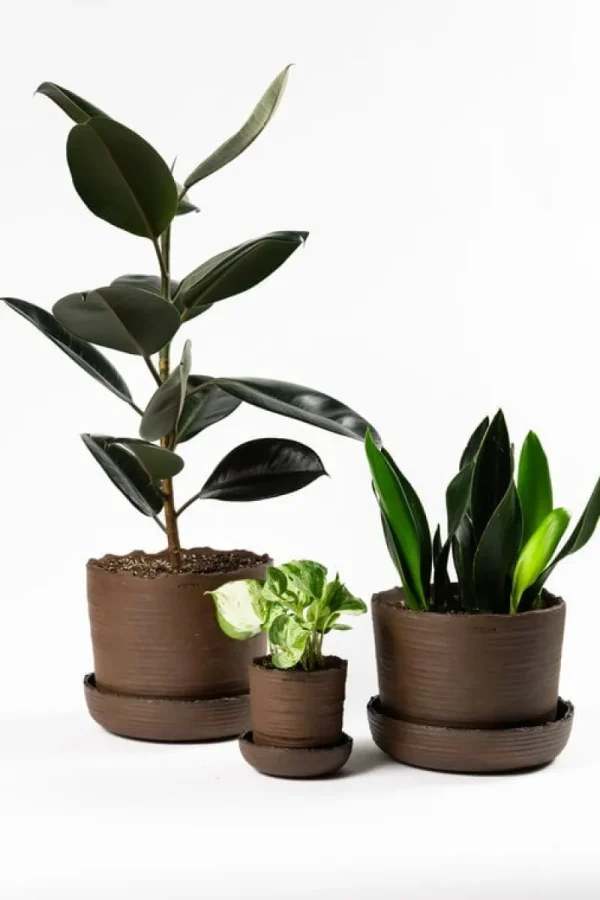 Vaidava Ceramics Indoor-gardening^Soil Topf mit Untersetzer, S, Braun
