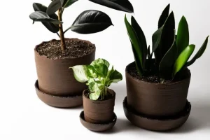 Vaidava Ceramics Indoor-gardening^Soil Topf mit Untersetzer, S, Braun