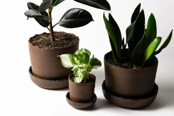 Vaidava Ceramics Indoor-gardening^Soil Topf mit Untersetzer, S, Braun