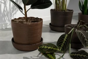Vaidava Ceramics Indoor-gardening^Soil Topf mit Untersetzer, S, Braun