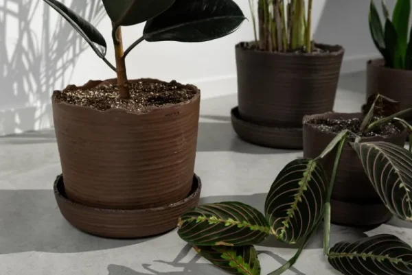 Vaidava Ceramics Indoor-gardening^Soil Topf mit Untersetzer, S, Braun