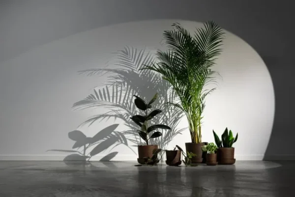 Vaidava Ceramics Indoor-gardening^Soil Topf mit Untersetzer, S, Braun