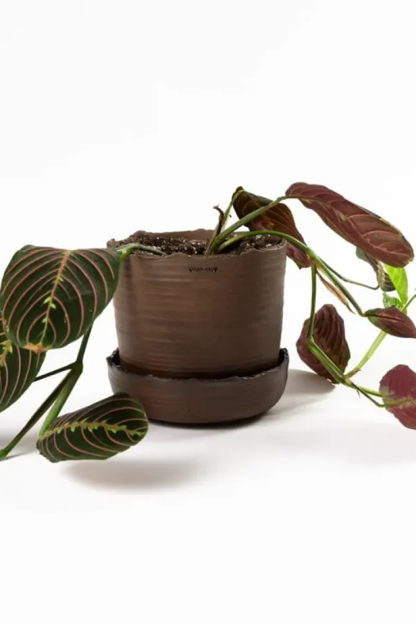 Vaidava Ceramics Indoor-gardening^Soil Topf mit Untersetzer, L, Braun