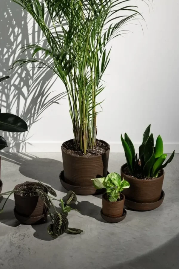 Vaidava Ceramics Indoor-gardening^Soil Topf mit Untersetzer, S, Braun