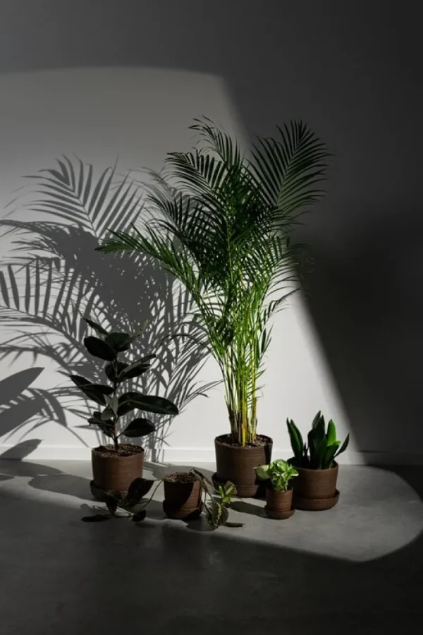 Vaidava Ceramics Indoor-gardening^Soil Topf mit Untersetzer, S, Braun