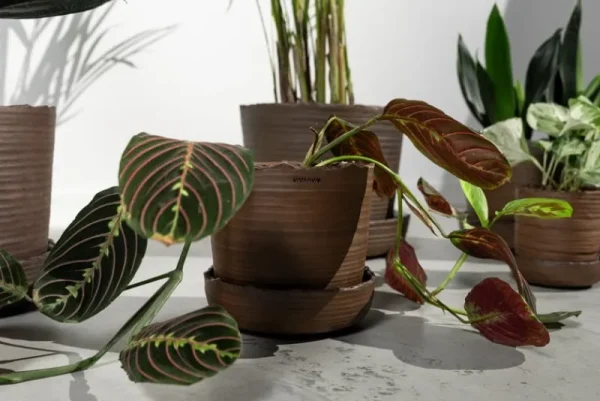 Vaidava Ceramics Indoor-gardening^Soil Topf mit Untersetzer, S, Braun