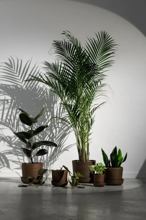 Vaidava Ceramics Indoor-gardening^Soil Topf mit Untersetzer, S, Braun