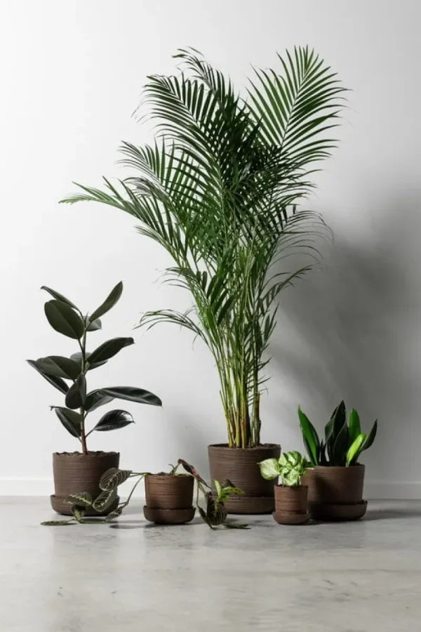 Vaidava Ceramics Indoor-gardening^Soil Topf mit Untersetzer, S, Braun