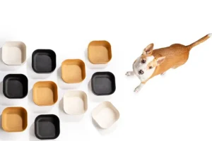 Venandi Design Haustiere^Pet Bowl, Kohleschwarz
