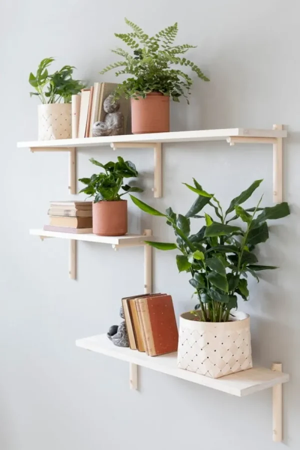 Maze Regale-Verso Design Tikas Wandregal 24 x 120 cm, Birke