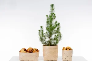 Finnish Design Shop Küchenutensilien^Verso Design Viilu Brotkorb, S